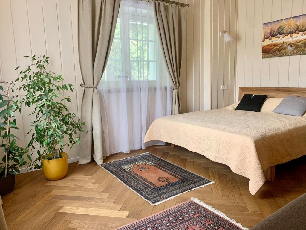 Schlafzimmer mit einem Bett, einem Fenster und einem Teppich in der Unterkunft Pušyno apartamentai in Druskininkai