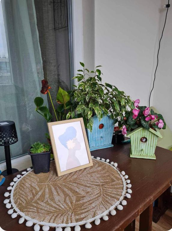 Fotografie z fotogalerie ubytování Specious Modern Apartment v Sofii