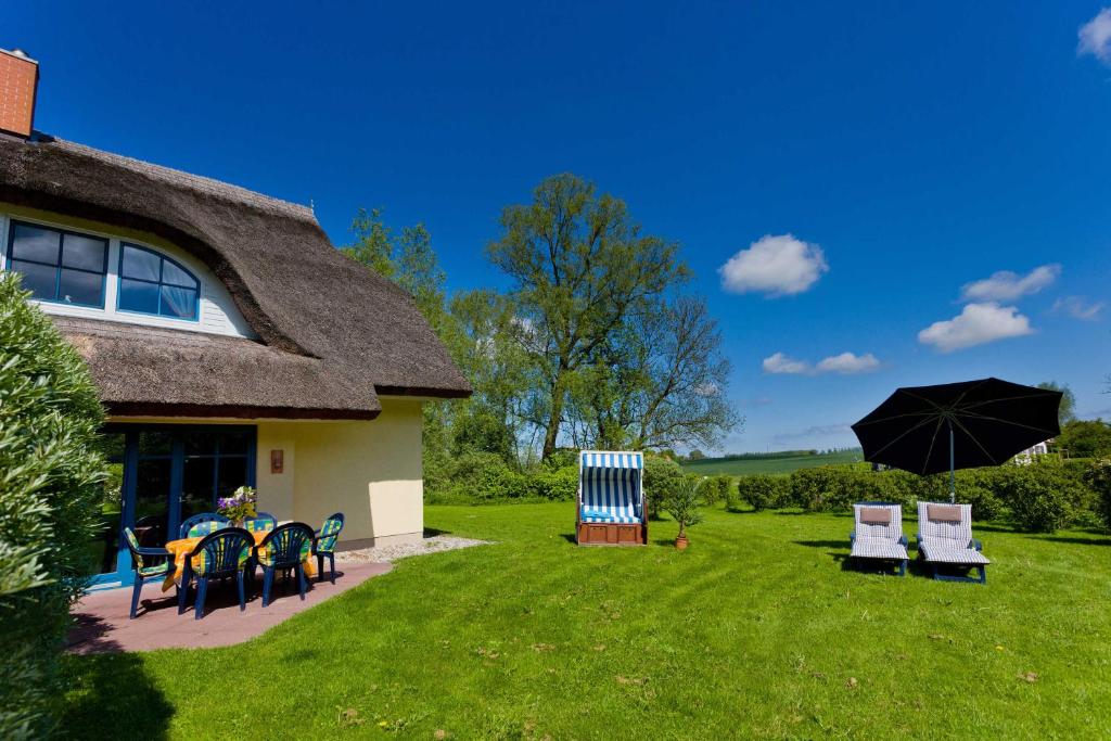 Vườn quanh Reetdachhaus Eibe 2, Kaminofen, Sauna, 8 Personen, W-Lan