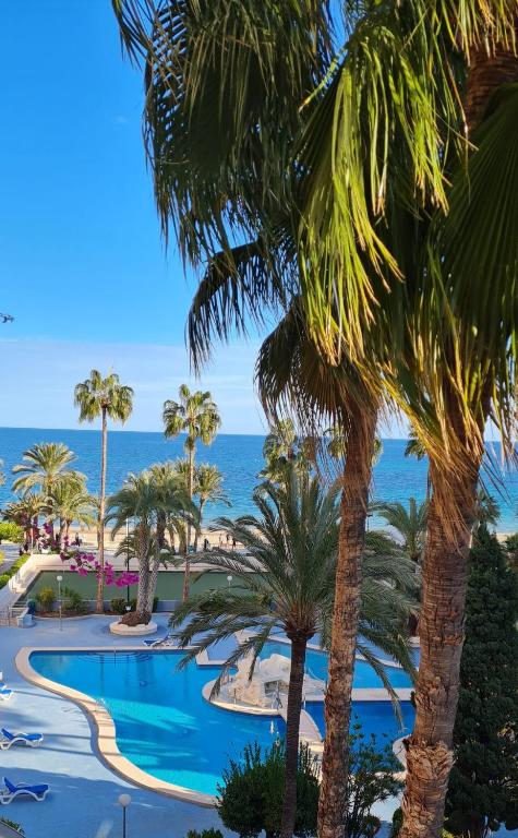 a view of a resort with palm trees and the ocean at Calpe Paraiso Playa primera linea in Calpe