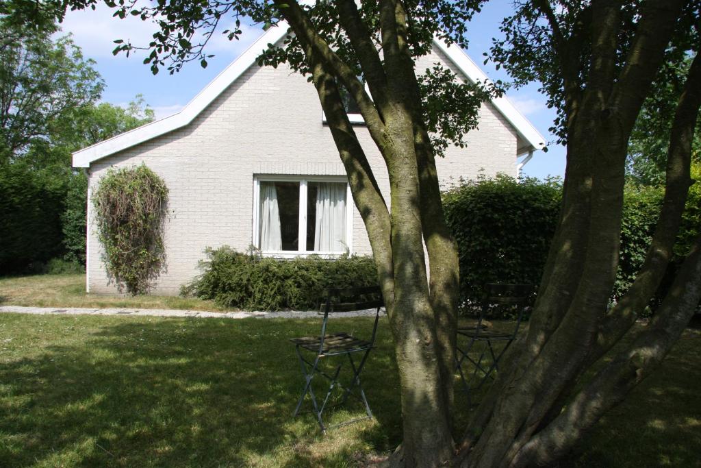 a house with a tree and a chair in the yard at Karreveld in Zonnemaire