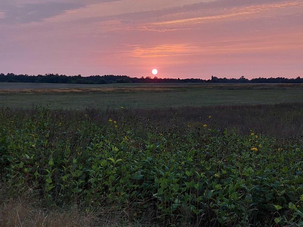 a field with the sun setting in the horizon at Ferienhaus Jamshidi in Waren