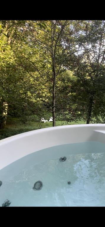 Foto sihtkohas Ellezelles asuva majutusasutuse La Canopée des Arbres, Anna galeriist