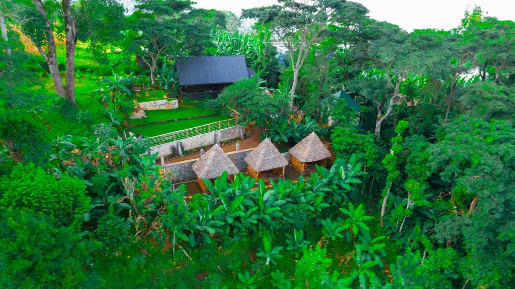 una vista sul tetto di un giardino con alberi e cespugli di Materuni Homes a Moshi