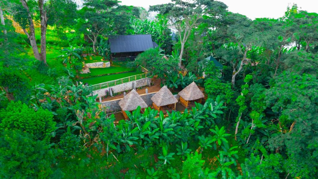an overhead view of a garden with trees and bushes at Materuni Homes in Moshi
