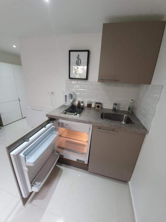 eine Küche mit einem offenen Kühlschrank und einer Spüle in der Unterkunft Studio aux portes de Paris in Villejuif