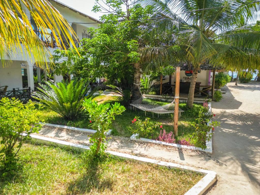 un giardino di fronte a una casa con palme di Cocolala Beach House a Nungwi