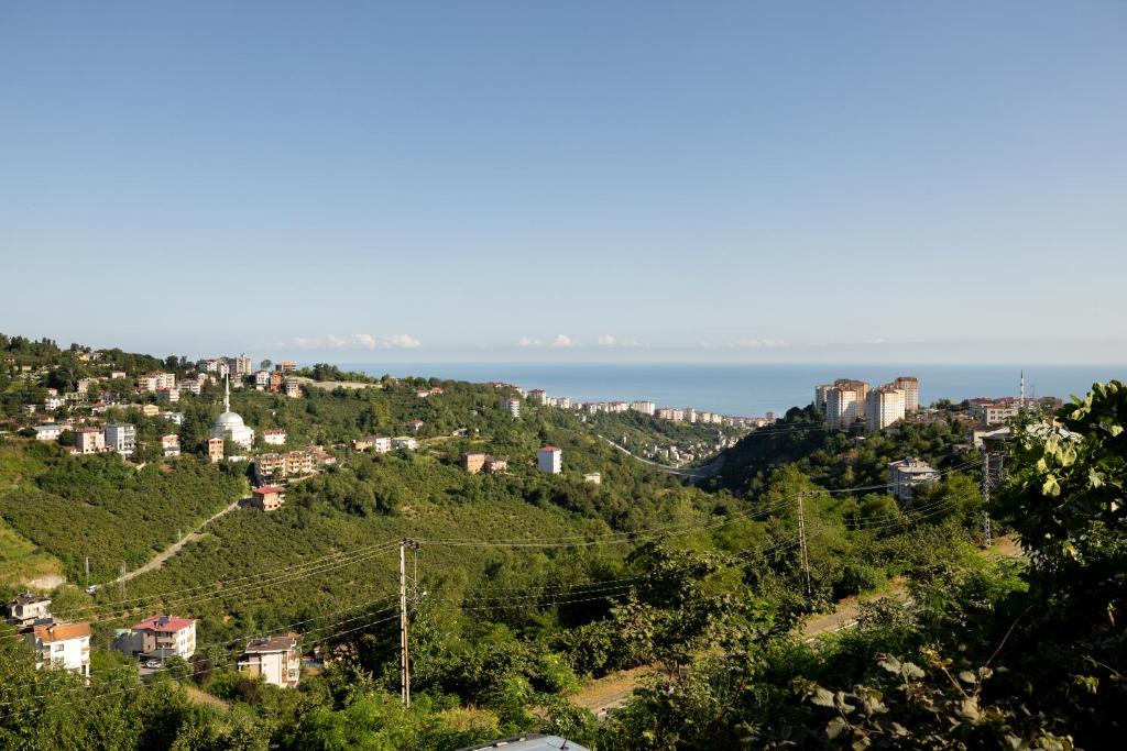 Příroda nedaleko aparthotelu