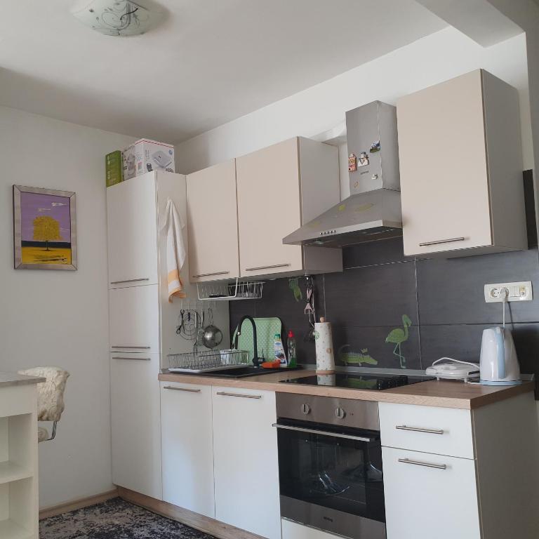 Kuchyň nebo kuchyňský kout v ubytování VJEKA HOME