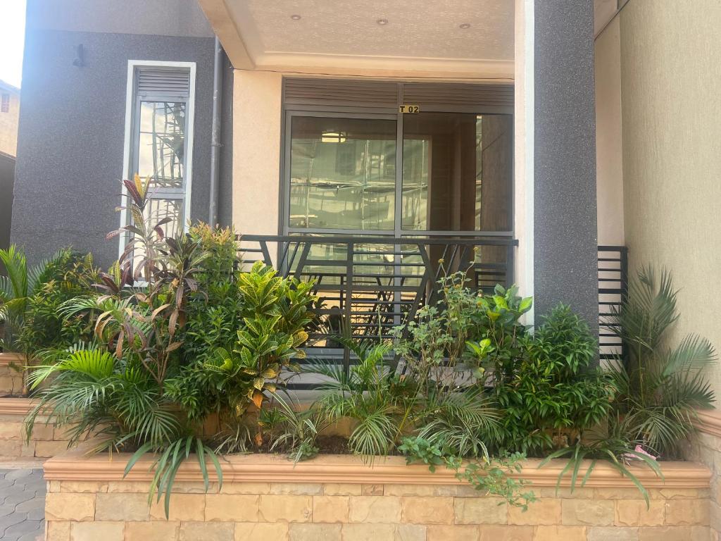 une terrasse couverte avec des plantes devant un bâtiment dans l'établissement La Dolce Vita, à Kampala