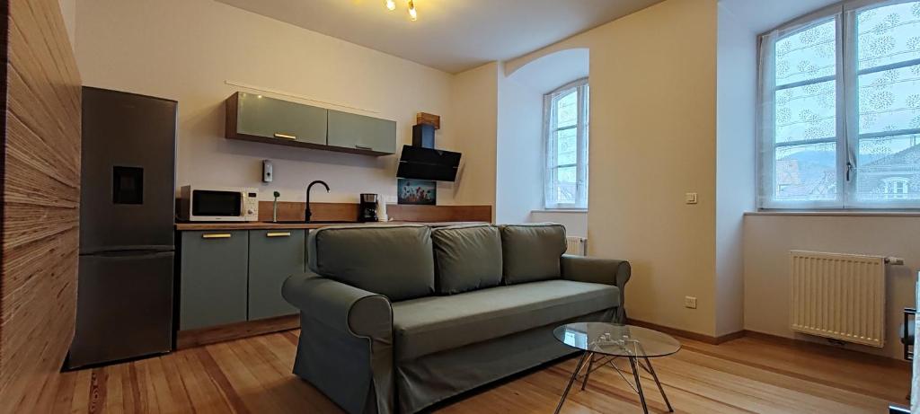 uma sala de estar com um sofá e uma cozinha em Le Nid Douillet - Au calme & Parking gratuit em Bergheim