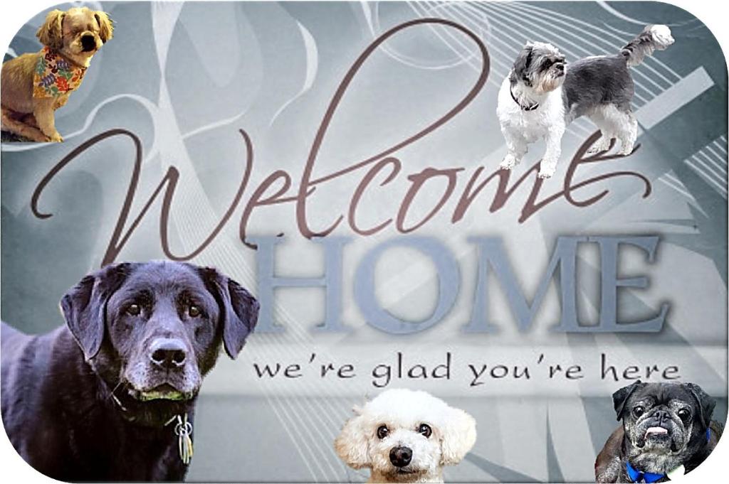 une photo de trois chiens avec les mots de bienvenue à la maison dans l'établissement Apartment Vita, à Rijeka