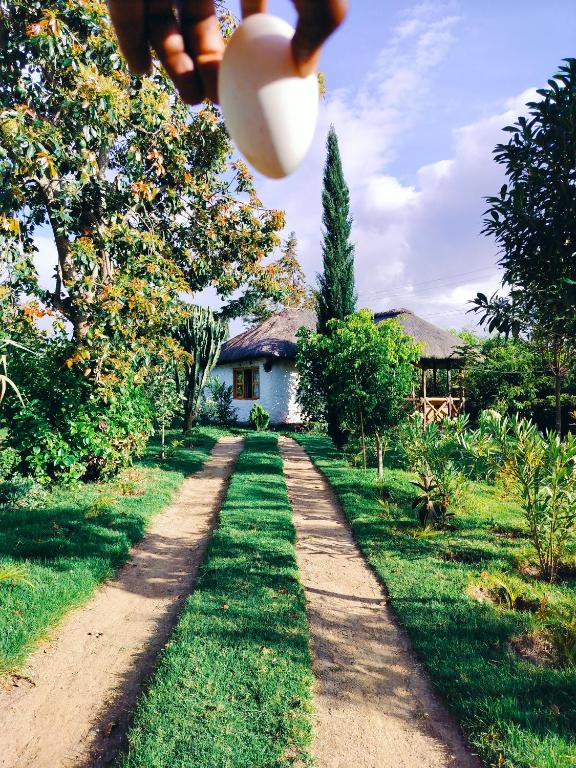 Zahrada ubytování Podocarpus cottages