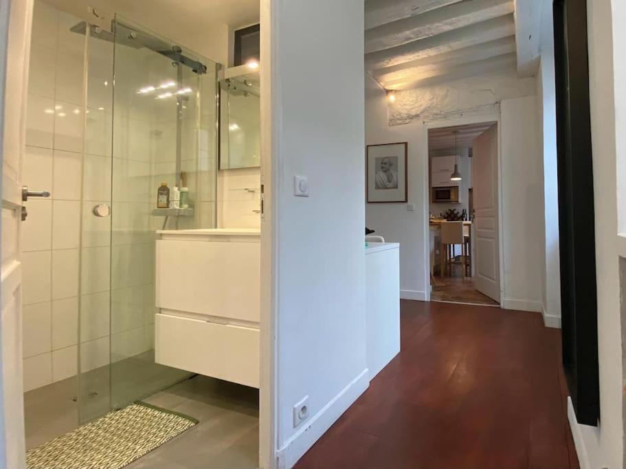 une salle de bain avec une douche à l'italienne et un lavabo dans l'établissement Le Marais Cosy Central Paris, à Paris