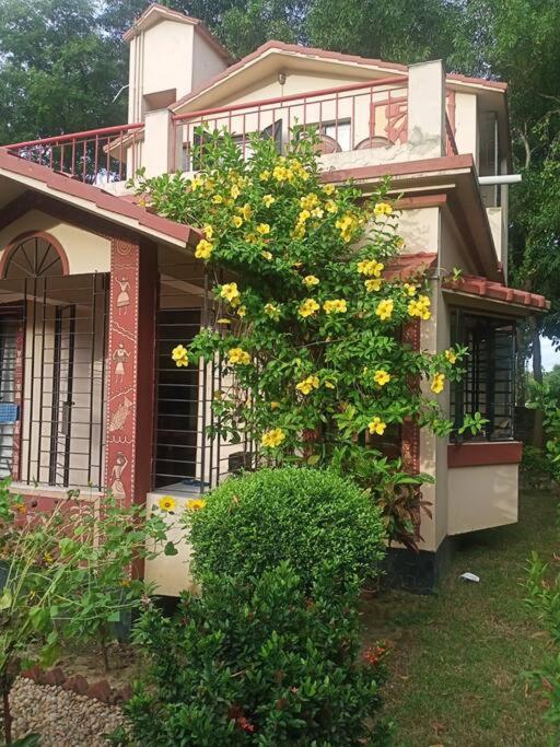 Zahrada ubytování ARANYAK homestay