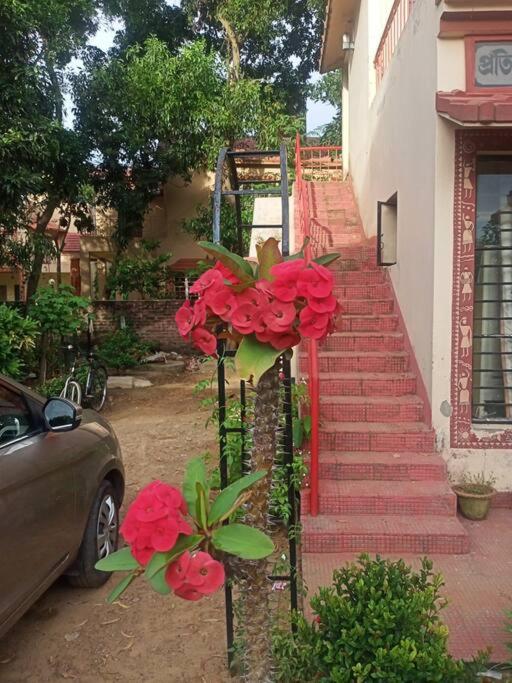 Zahrada ubytování ARANYAK homestay