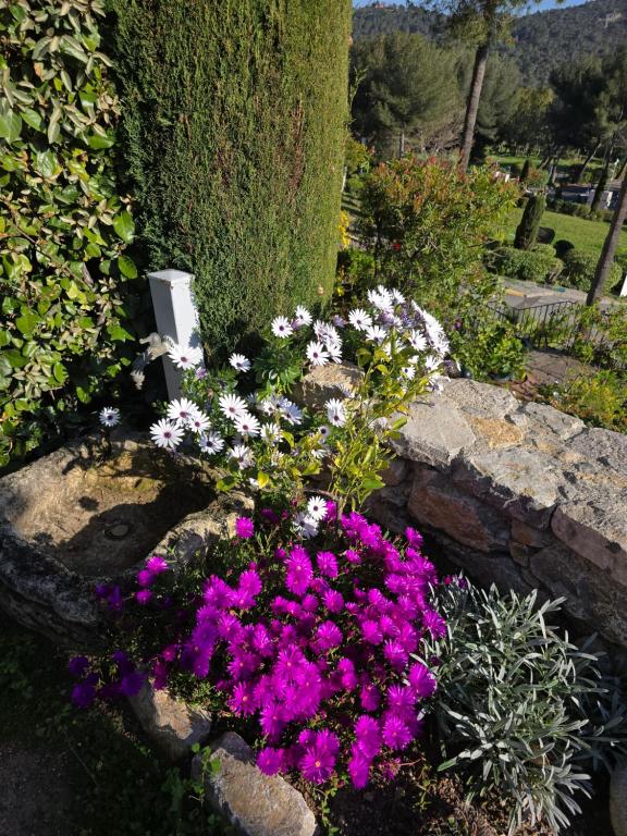 Um jardim em Villa Perle d&#39;or vue mer
