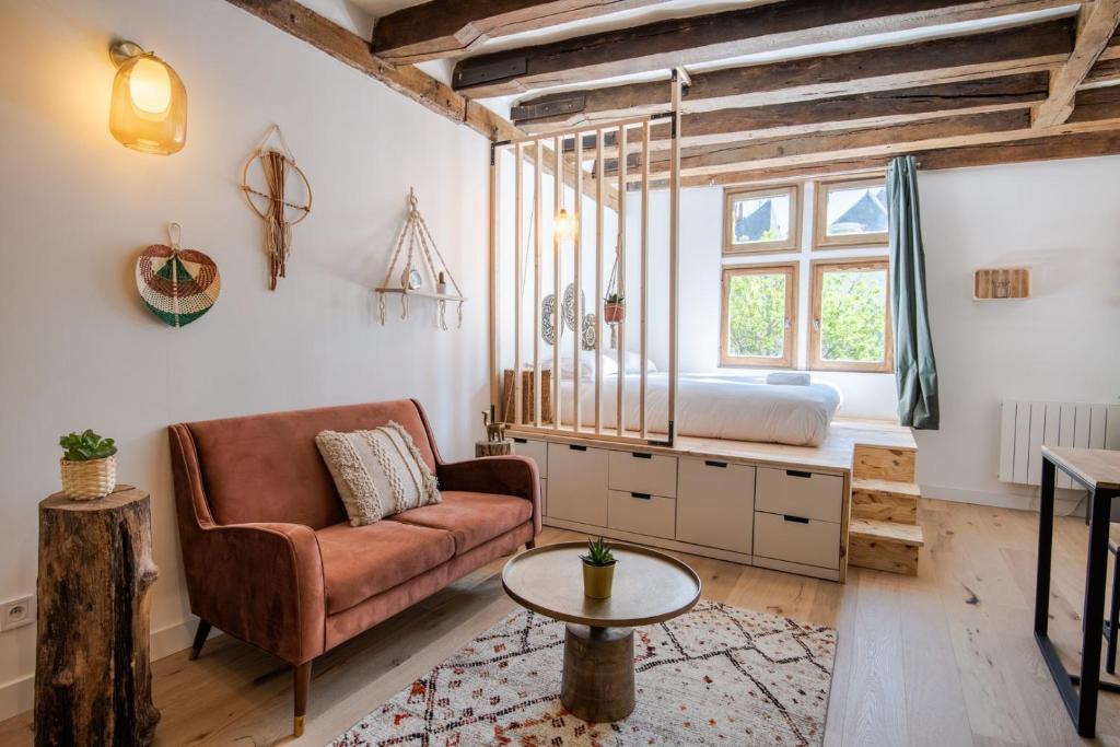 un salon avec un canapé et un lit dans l'établissement Cocon du Vieux Tours, à Tours