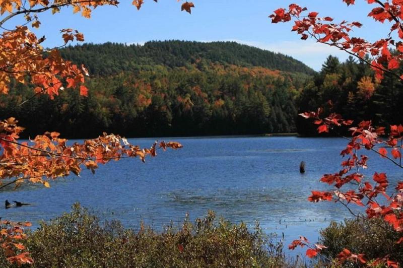 vistas a un lago con árboles en el fondo en Daggett Lodge, en Warrensburg