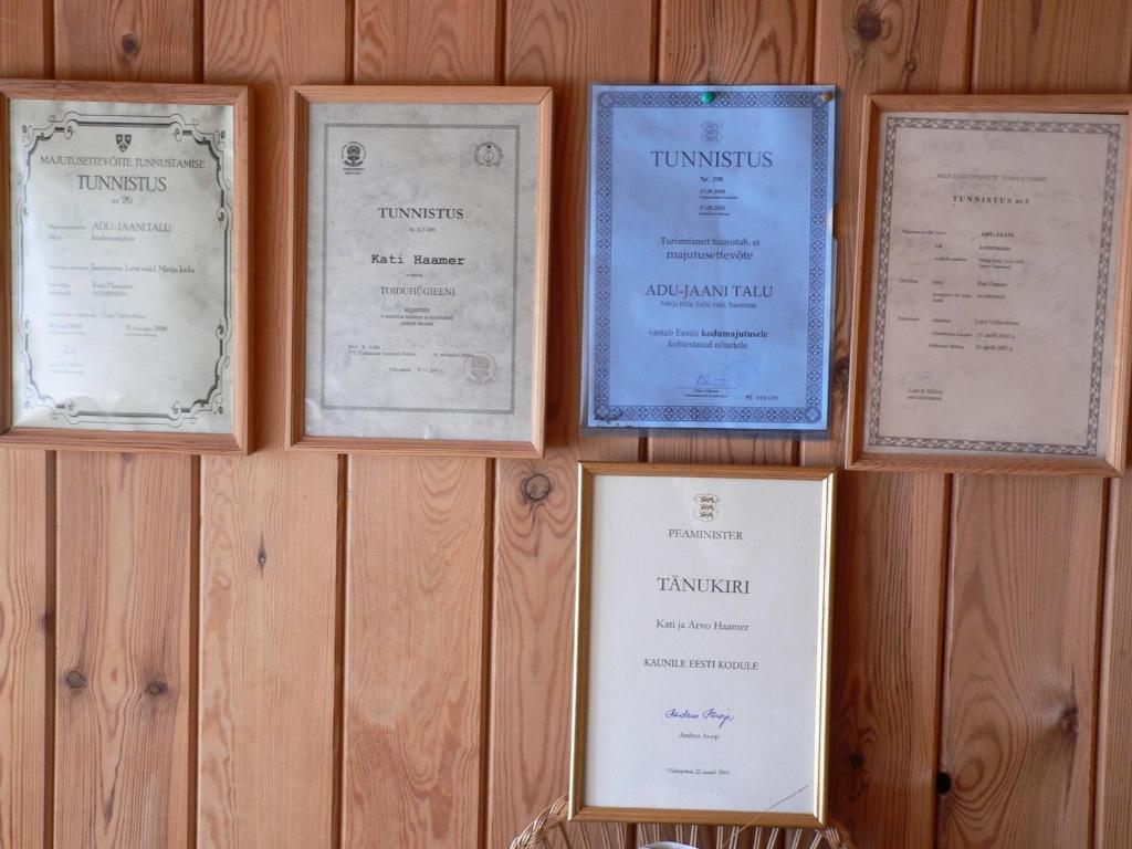 Foto Mätjal asuva majutusasutuse Adu-Jaani Kodumajutus galeriist