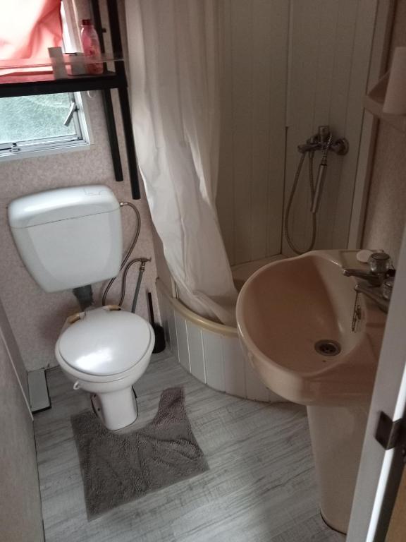 a bathroom with a toilet and a sink at Convivialité in Mansle