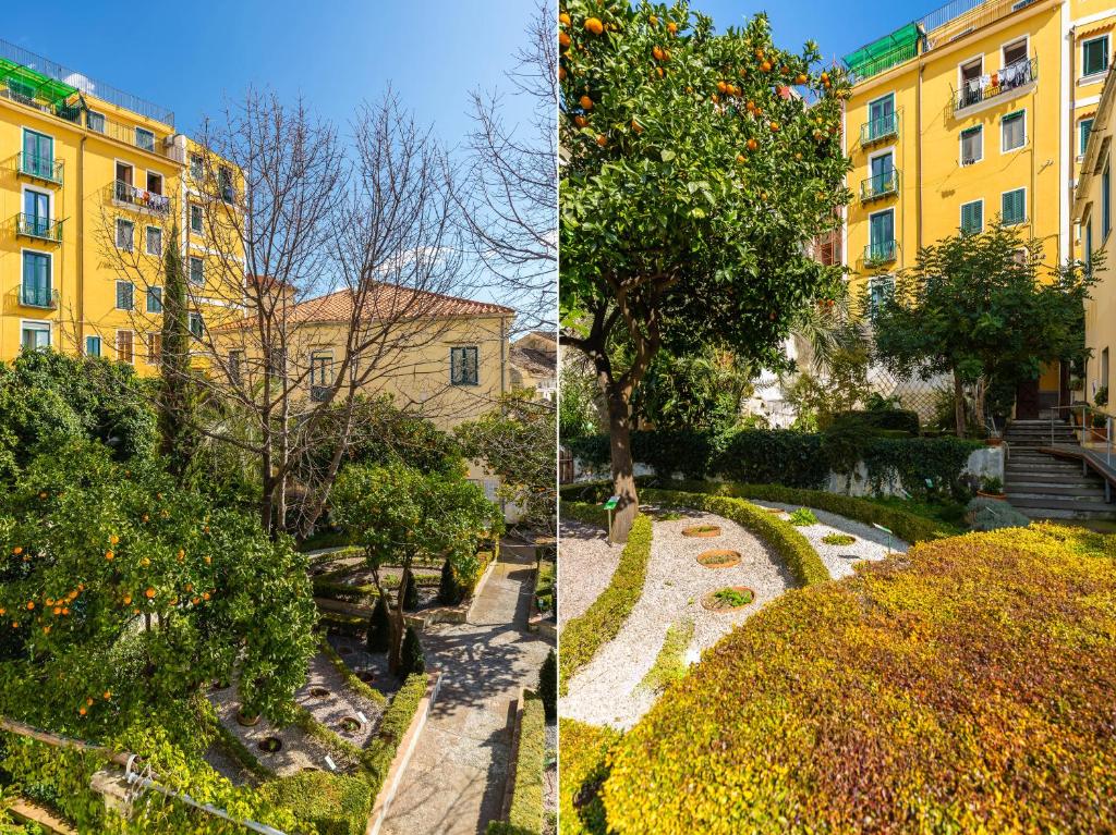 A garden outside Starhost - MINERVA SUITE seaview