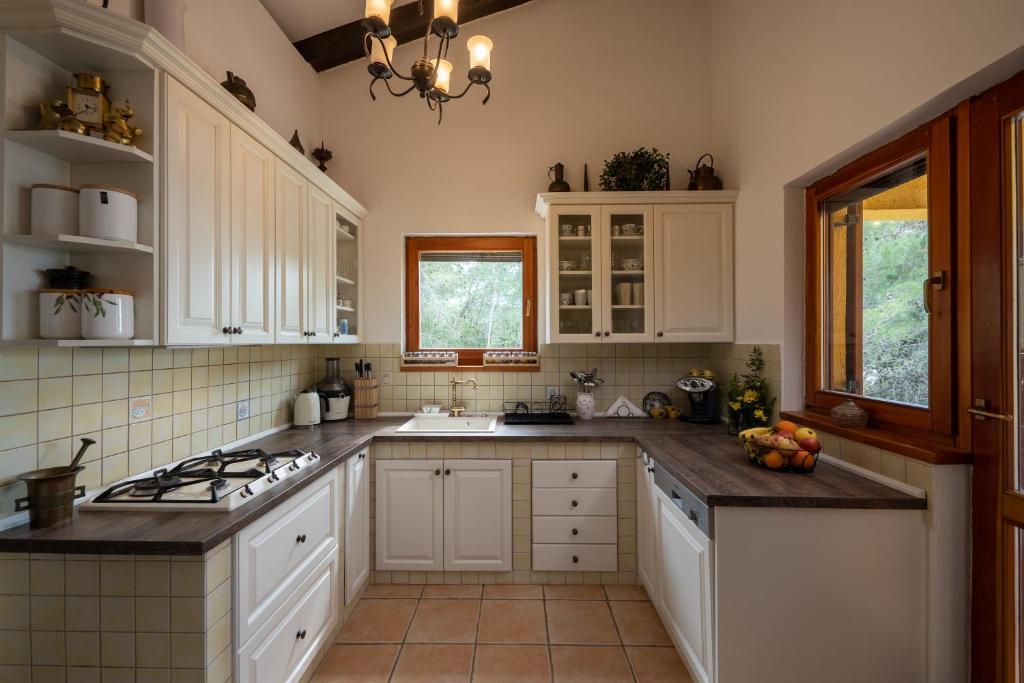 Kuchyň nebo kuchyňský kout v ubytování Villa Barotul