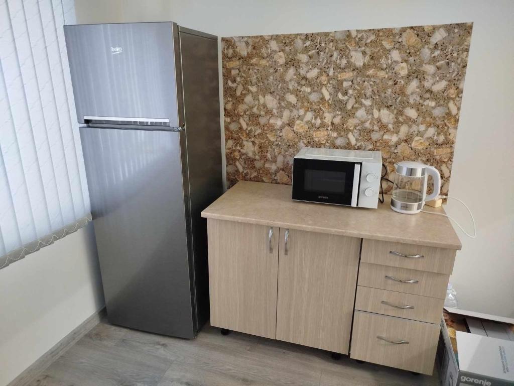 a kitchen with a refrigerator and a counter with a microwave at Aydeniz hostel in Chişinău