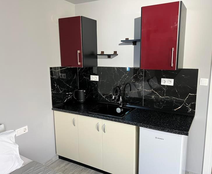 A kitchen or kitchenette at Artemis