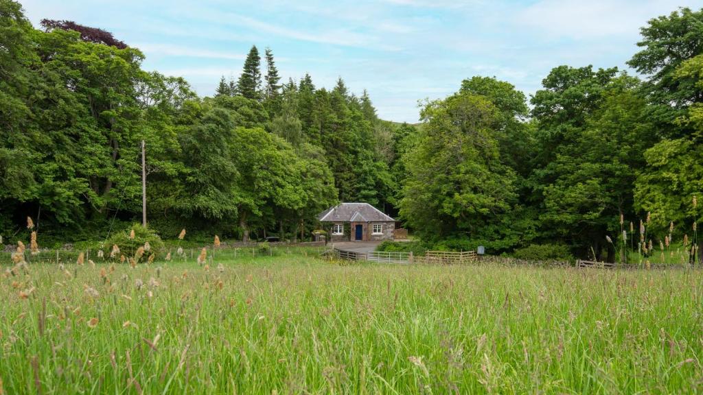 un prato alto con una cabina sullo sfondo di East Lodge at Ashiestiel a Clovenfords