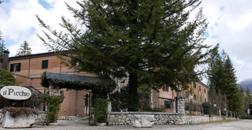 un gran árbol frente a un edificio en LH Albergo Il Picchio en Pescasseroli