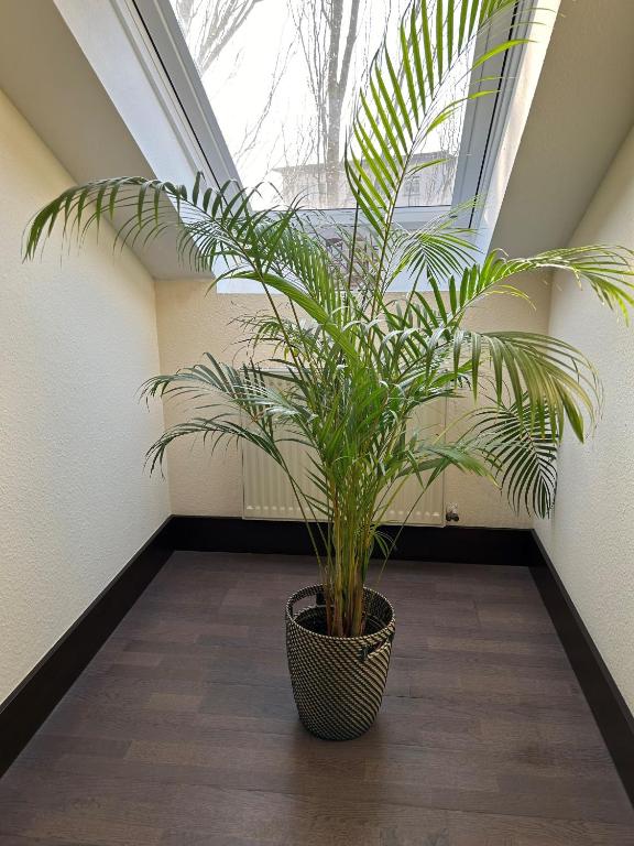 Villa Hotel Frankfurt by MZ HotelCollection - Resim 42