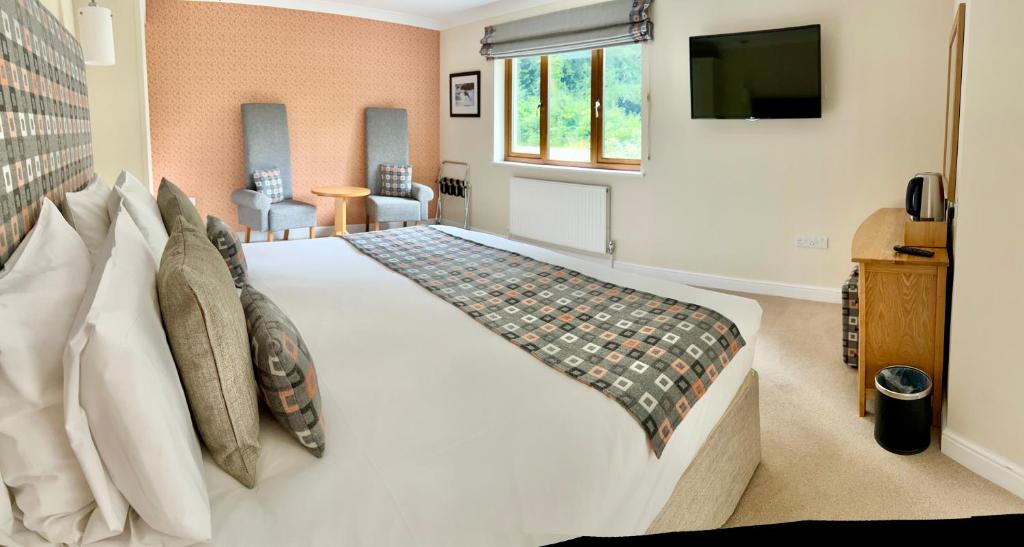 1 dormitorio con 1 cama grande y TV en Roseberry House, en Newcastle Emlyn