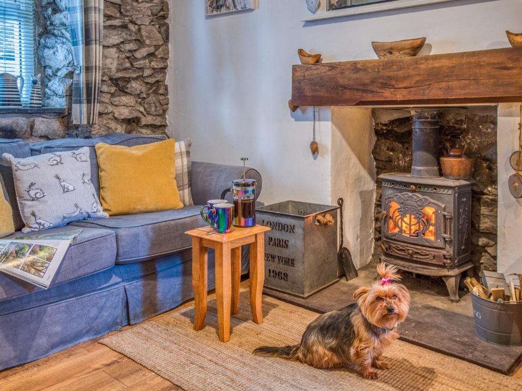 Llanaelhaiarnにある1 bed property in Trefor Beach 77891の暖炉のあるリビングルームに座る犬
