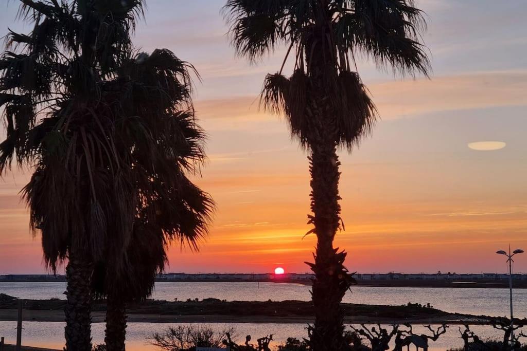 deux palmiers au coucher du soleil en arrière-plan dans l'établissement Logis des Palmiers YourHostHelper, à Gruissan