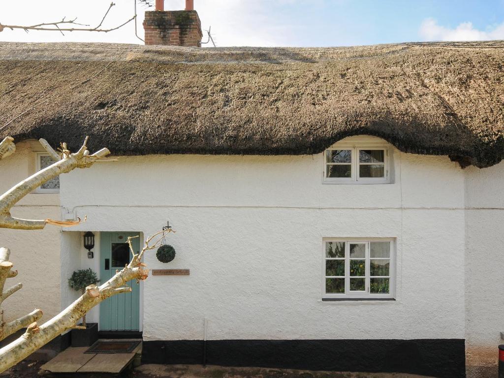 a white cottage with a thatched roof at Larksworthy Cottage in North Tawton