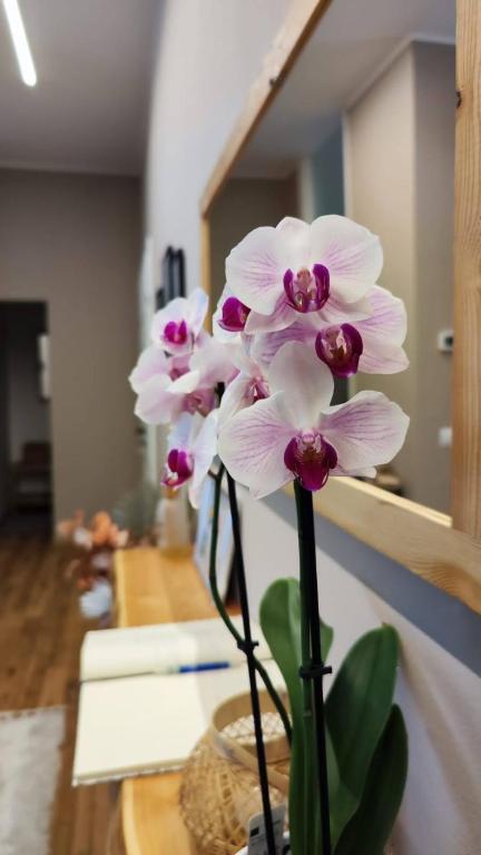 B&b ARCOBALENO - 2 min walk to Bernina Express - 6