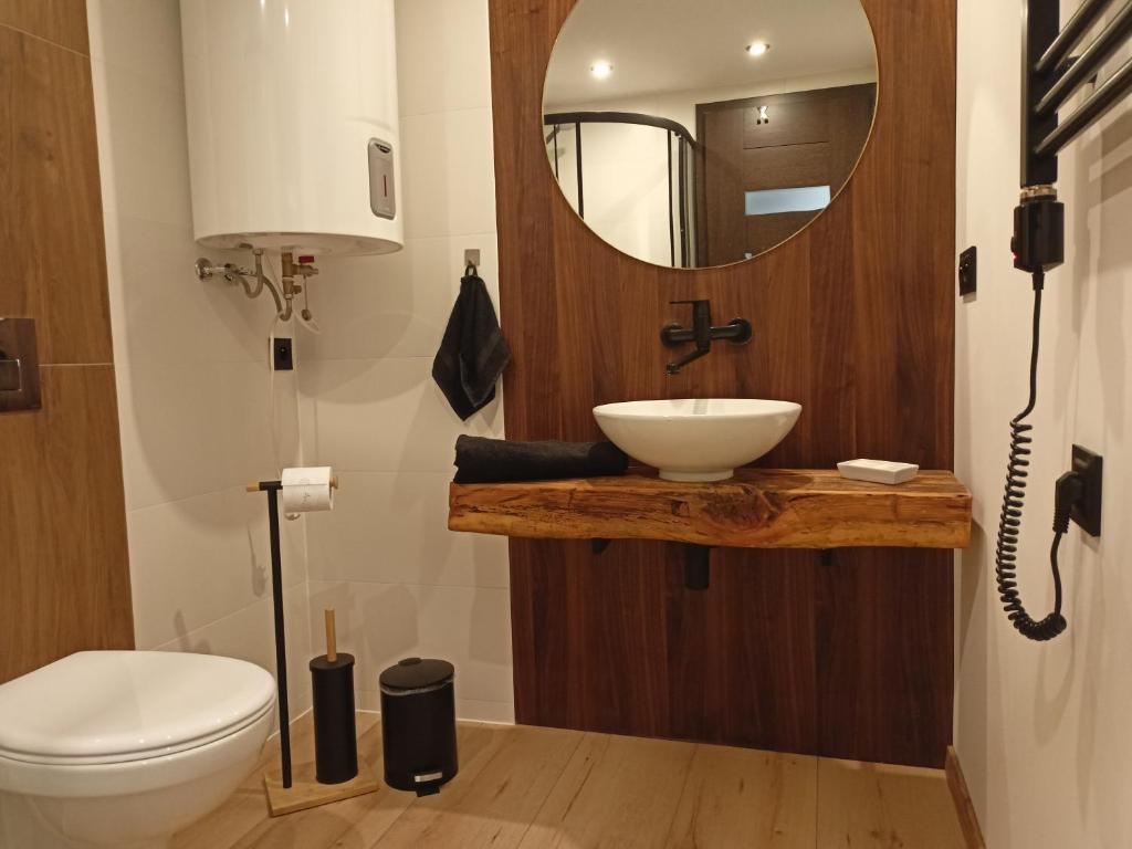 een badkamer met een wastafel, een toilet en een spiegel bij Agroturystyka "Apartament na wsi" Bory Tucholskie 