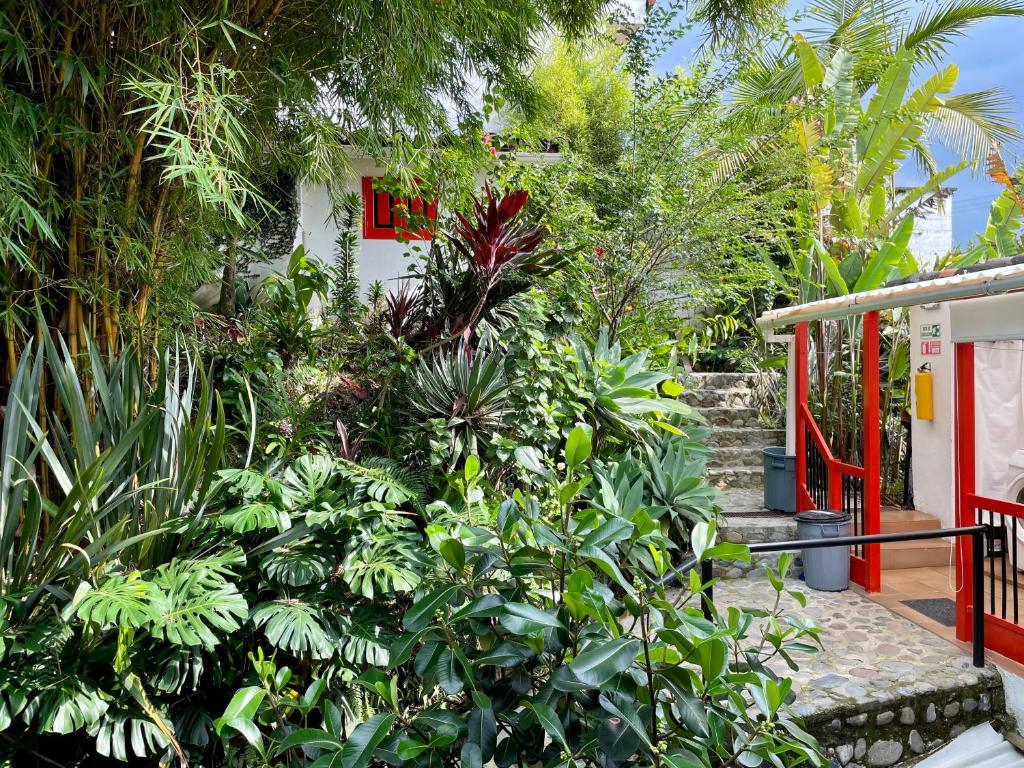 Jardí fora de Hostal Tralala Salento