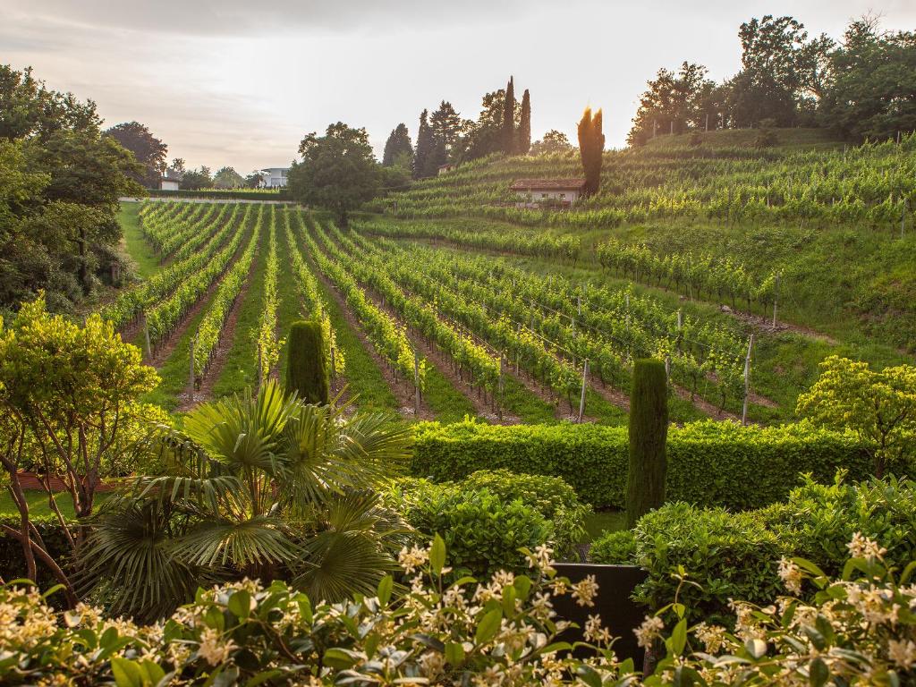 Park Hotel Principe - Resim 26