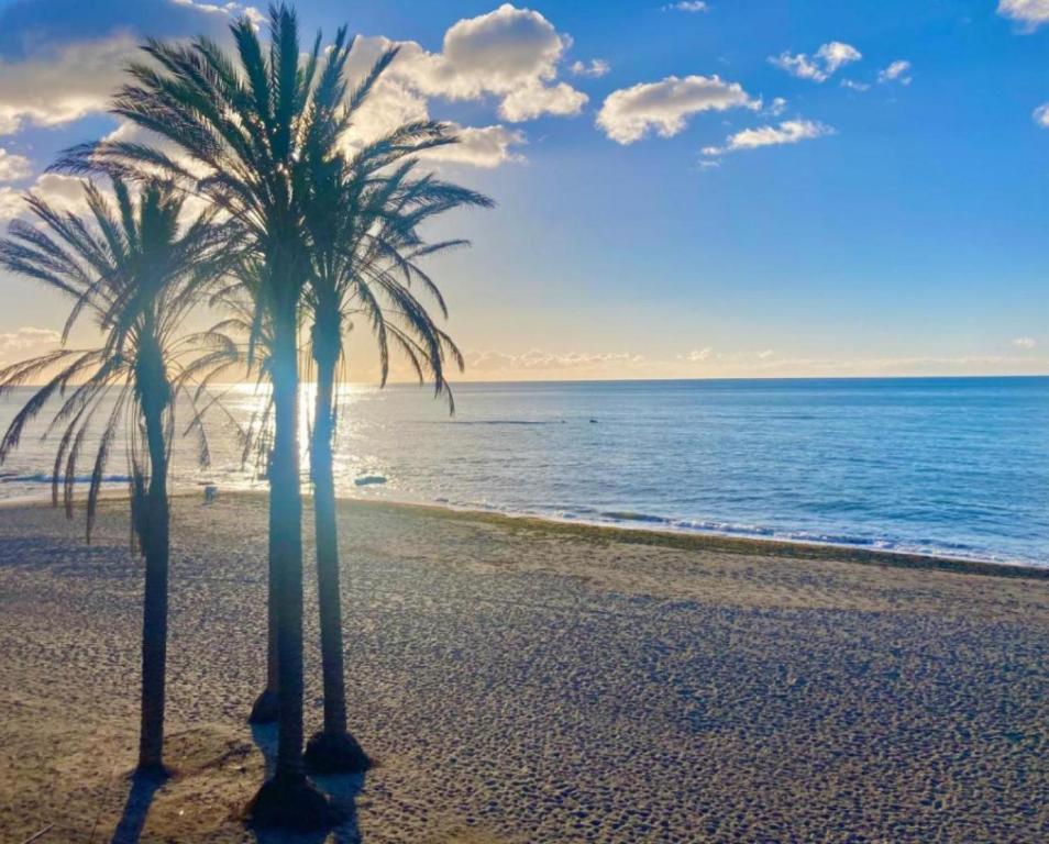 two palm trees on a beach near the water at Wonderful Golf & Beach Apartment with front Seaview and Pool in Benalmádena