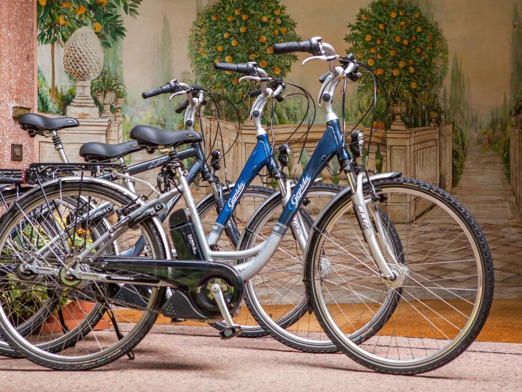 Park Hotel Principe - Resim 24