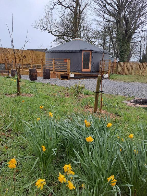 namiot na polu z kwiatami w trawie w obiekcie The Snowdrop w Galway