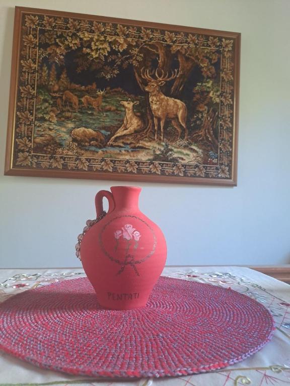 Fotografie z fotogalerie ubytování Ostriche House v destinaci Pentátion