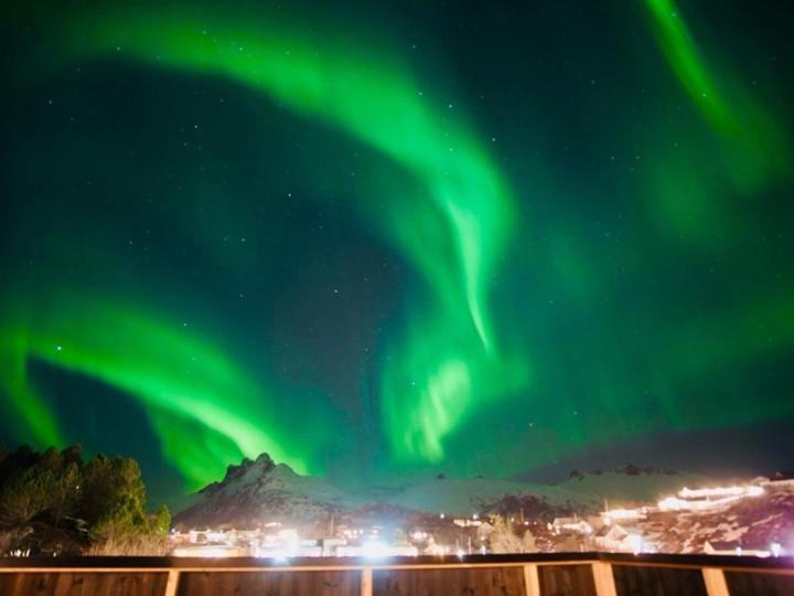 una imagen de la aurora boreal en el cielo en 3-roms leilighet, Svolvær, Lofoten, en Svolvær