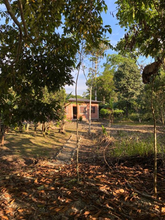 La Casa del Anzu