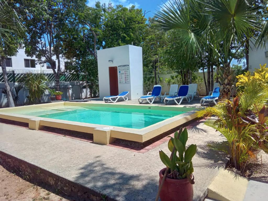 einen Pool mit blauen Stühlen und einem Pool in der Unterkunft Parque 44 in Playa del Carmen