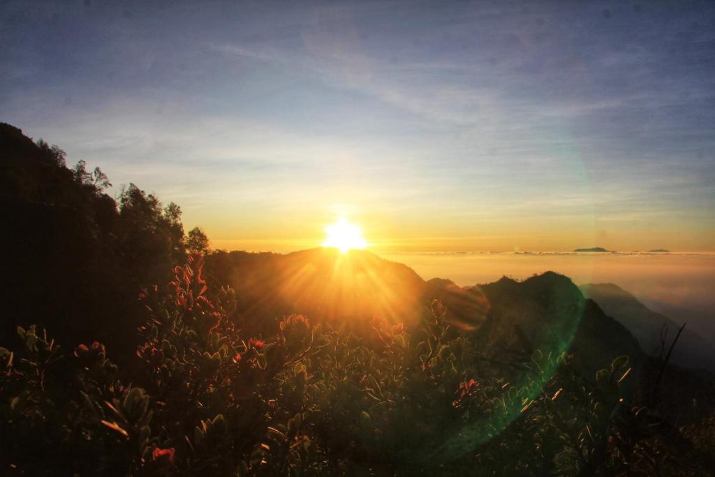 a sunset on top of a mountain with the sun setting at Bromo Villass in Ngadisari