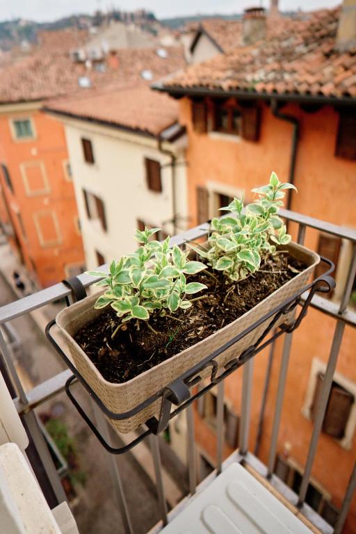 Vista Apartments Verona - Appartement D'une Chambre
