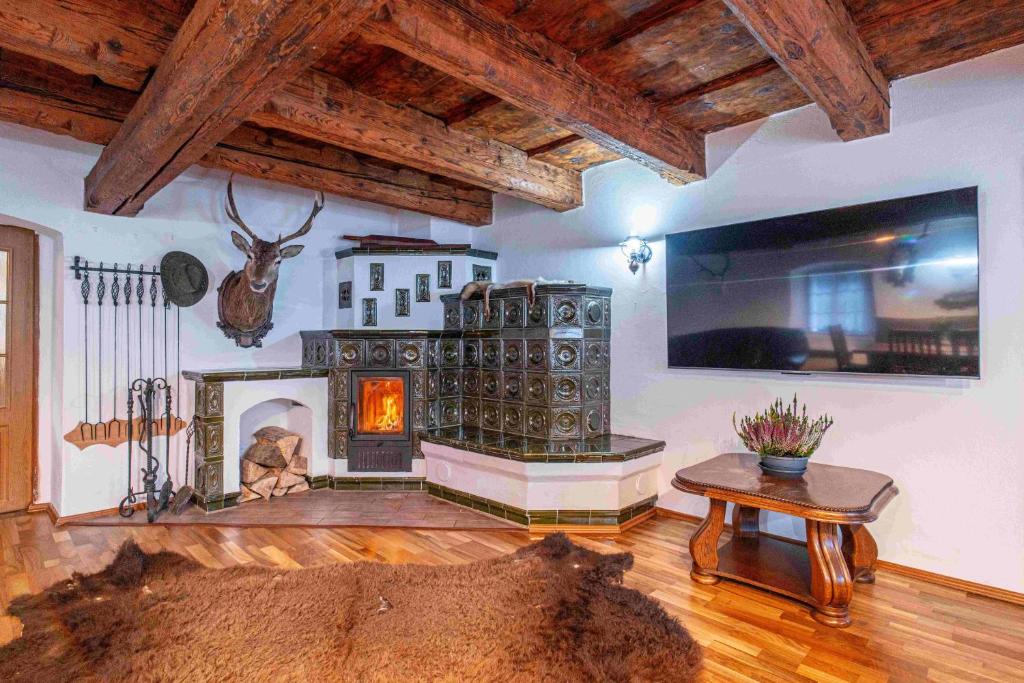 een woonkamer met een open haard en een televisie bij BO!chalupa in Hanušovice